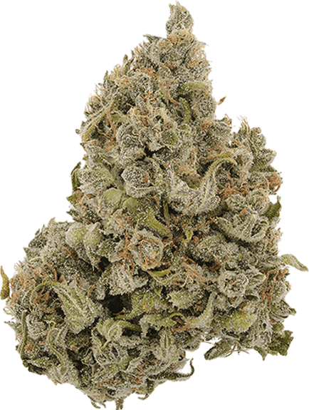 Nana Mffn