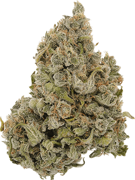 Nana Mffn image 1