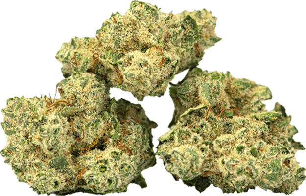 Burmese Ksh