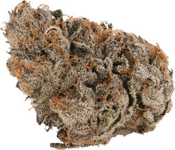 Berry Bliss